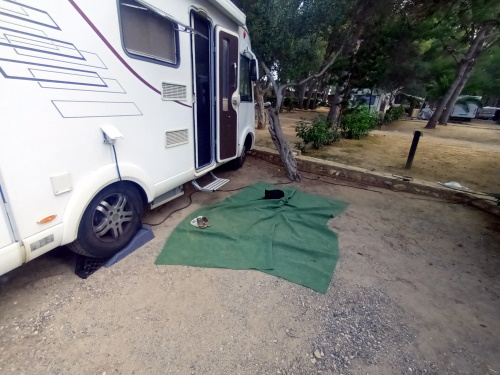 Campingplatz Abreisetag Katze baut sich Nest W